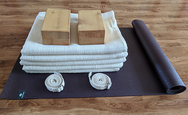 Yoga Intensive with Zubin Zarthoshtimanesh; Iyengar Yoga Workshop; Yoga with Niren