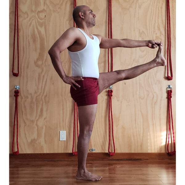 cranberry iyengar yoga shorts