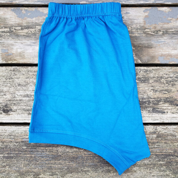 cobalt blue iyengar yoga shorts